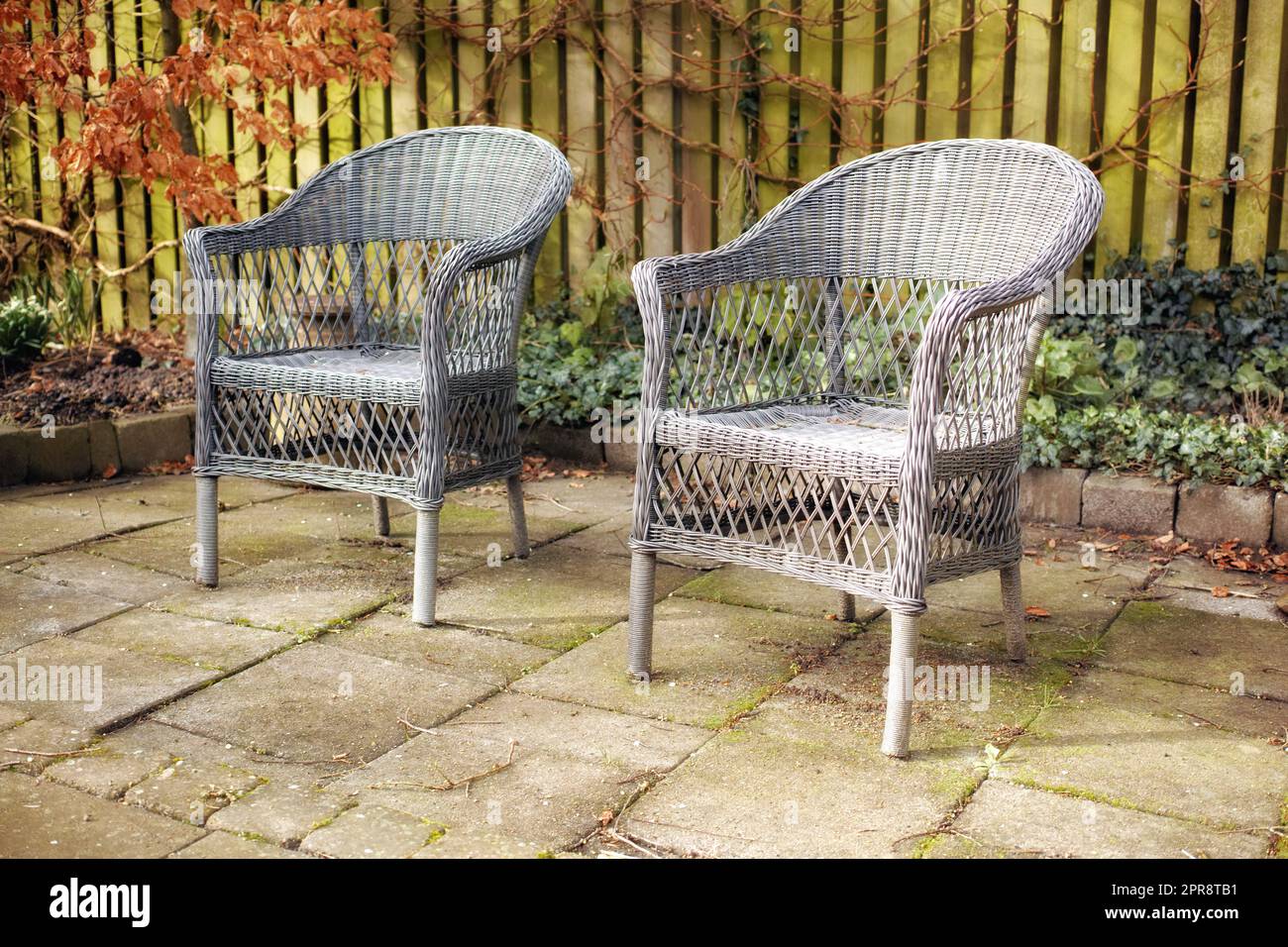 Sessel in einem entspannenden Gartenbereich im Hinterhof eines Hauses. Dekorative Gartenmöbel oder gewebte Stühle in der Nähe von Zierpflanzen. Gartendekor außerhalb des Hauses auf einer Terrasse im Hof Stockfoto