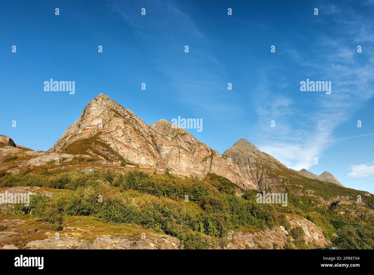 Malerische Berglandschaft vor blauem Himmel mit Kopierbereich. Majestätischer Blick auf Pflanzen, die auf einem felsigen Hügel wachsen, und Klippen in der Natur. Ein wunderschönes Reiseziel und Touristenattraktion Stockfoto