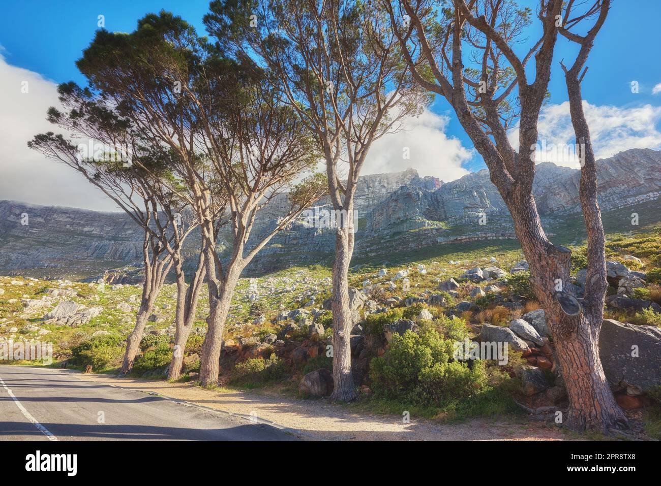 Straße oder Teerstraße mit malerischem Bergblick und blauem Himmel während der Sommertour in Kapstadt, Südafrika. Landschaft mit üppigen grünen Hügeln und Bergpass für Wochenendausflüge und Fahrten Stockfoto