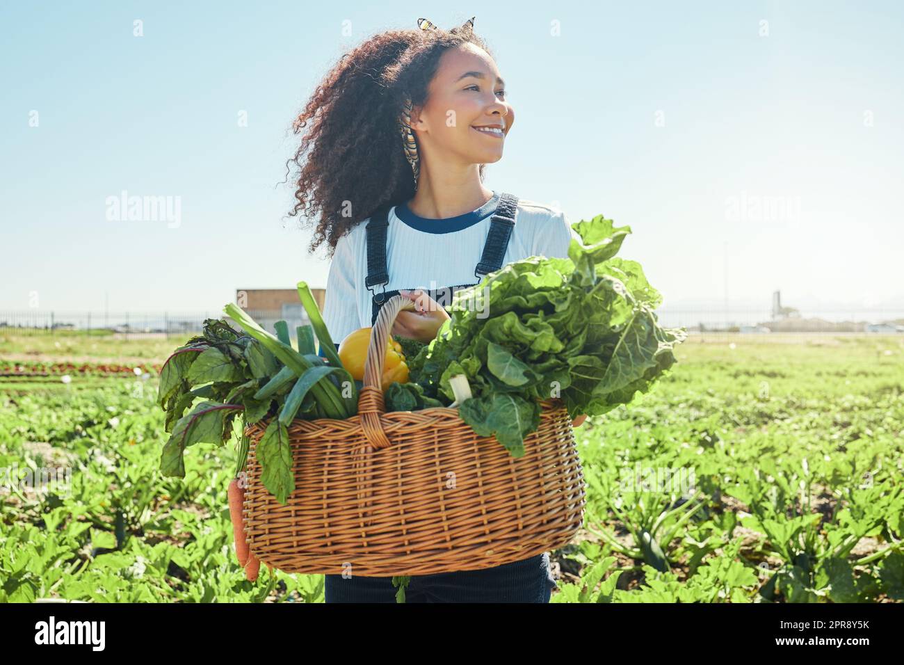 So weit kommt sie noch nie davon, einen Schuppen zu werfen. Ein junger Bauer hält einen Korb mit frisch geerntetem Gemüse in der Hand. Stockfoto