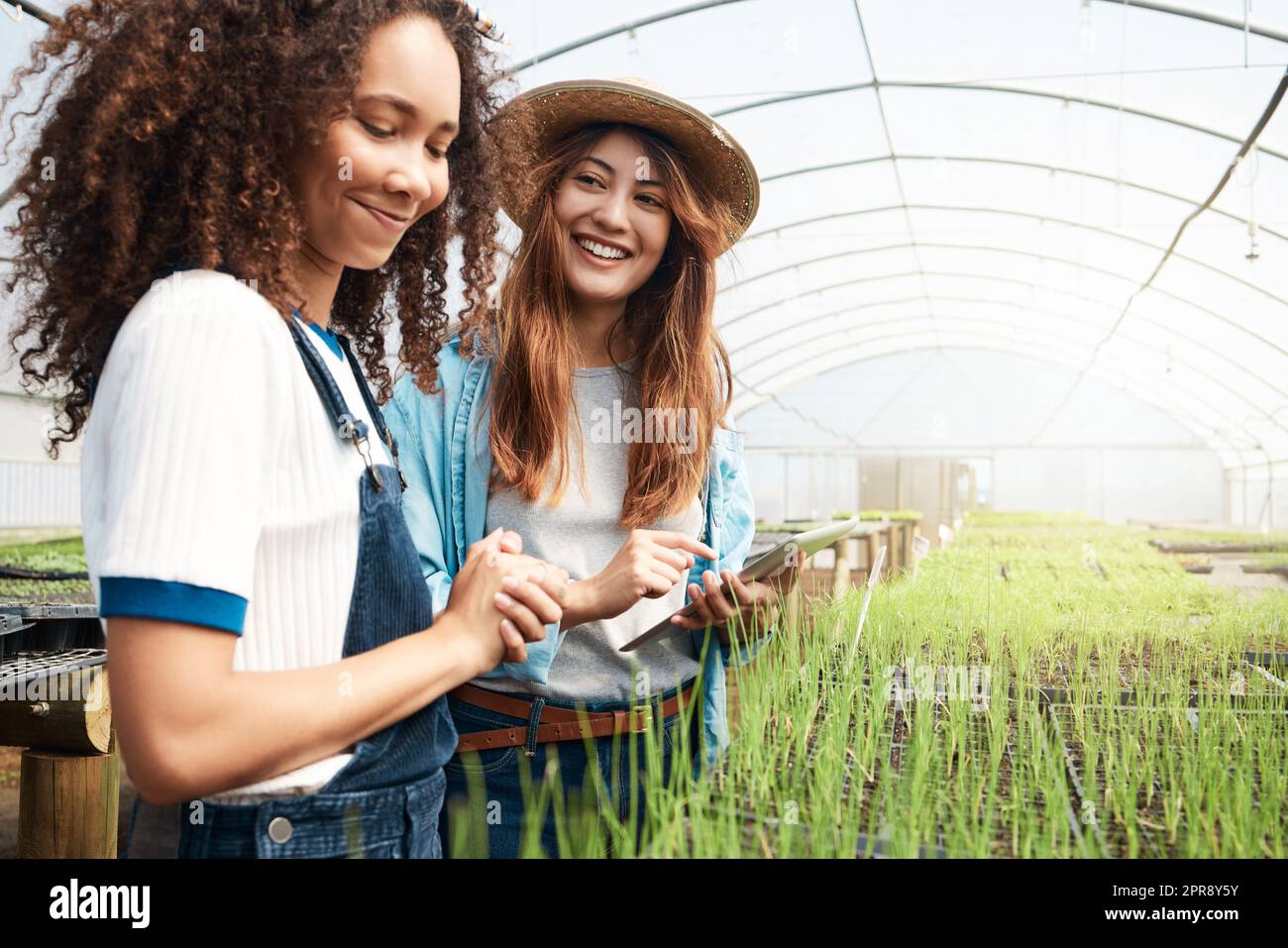 Gemeinsam arbeiten, um ihre Farm zu einem Erfolg zu machen. Zwei attraktive junge Frauen verwenden eine Tablette, während sie in einem Gewächshaus auf einem Bauernhof arbeiten. Stockfoto