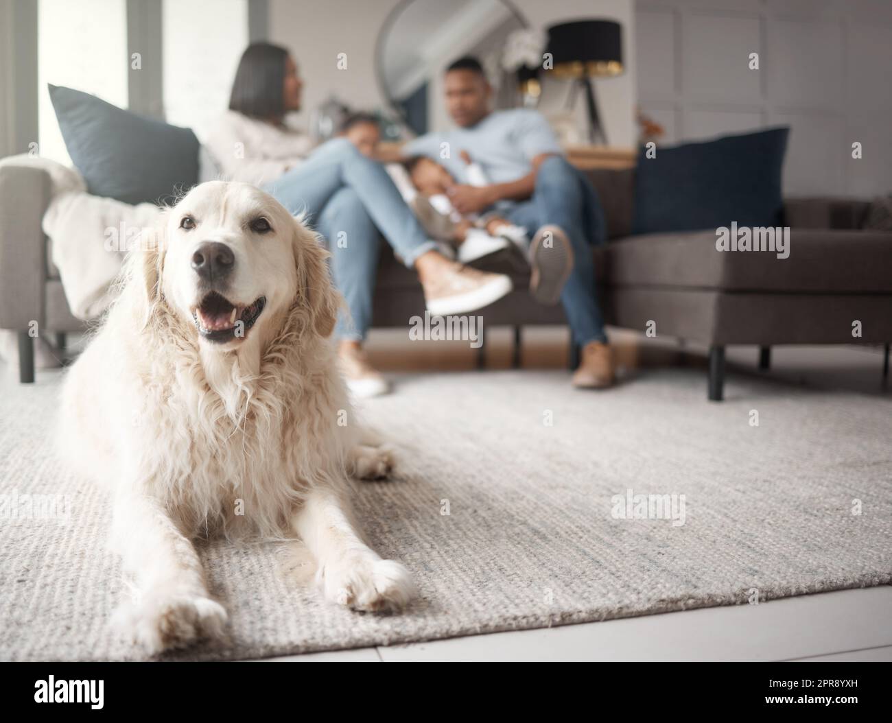 Eine dreiköpfige Mischfamilie, die sich auf dem Sofa entspannt und die schwarze Familie liebt, die ihrer Tochter gegenüber liebevoll ist. Ein junges Paar, das sich anfreundet, während ihr Adoptivhund auf einem Teppich liegt Stockfoto