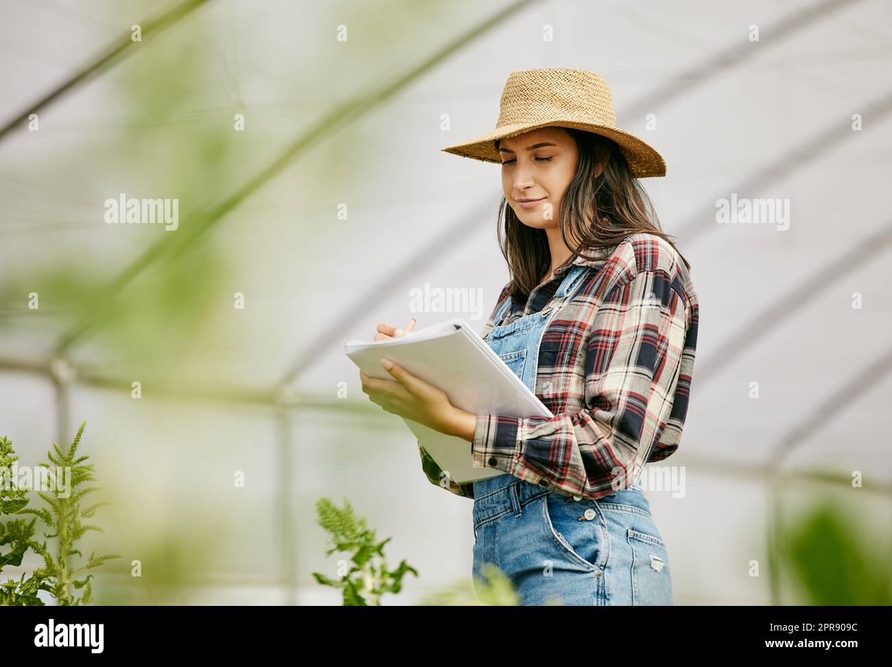 Alles scheint gut zu wachsen. Eine junge Bäuerin, die ihre Notiz nimmt, produziert Fortschritte. Stockfoto