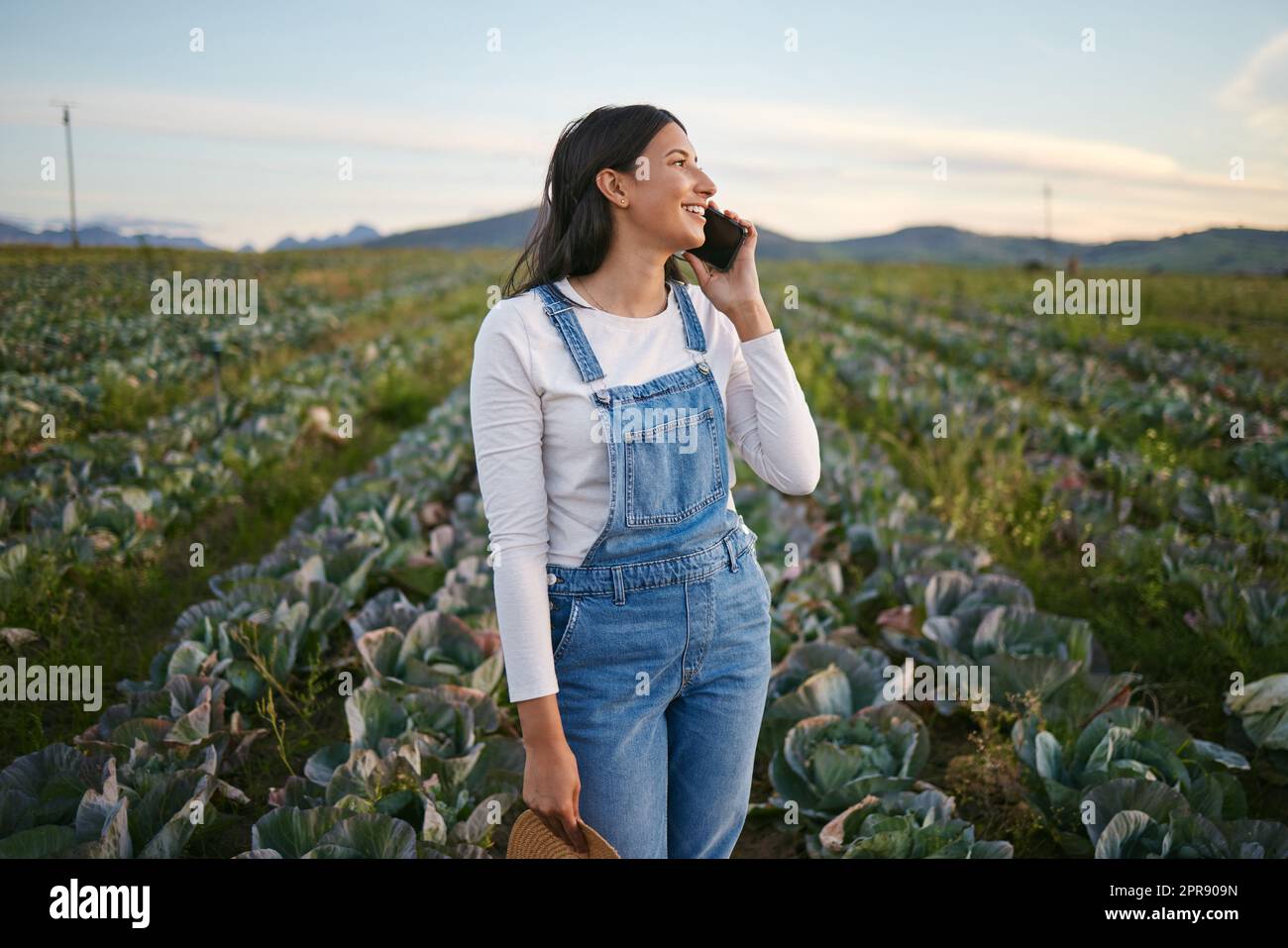 Eine Bäuerin spricht auf ihrem Smartphone, während sie auf einem Kohlfeld steht. Junge Brünette weibliche mit ihrem mobilen Gerät auf einem Bio-Gemüsefarm Stockfoto