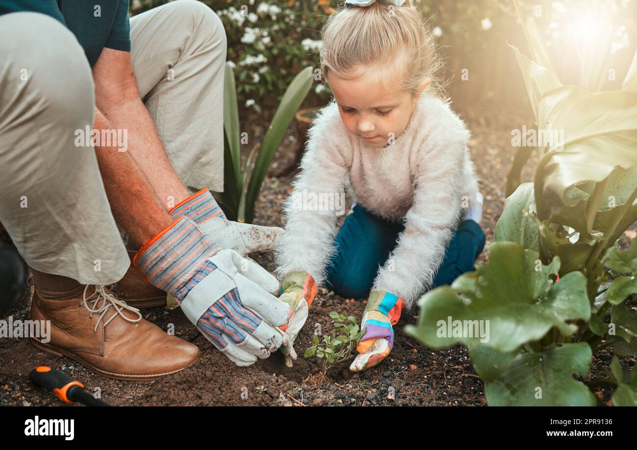 Ist es nicht genug, um zu sehen, dass ein Garten schön ist. Ein entzückendes kleines Mädchen im Garten mit ihrem Großvater. Stockfoto