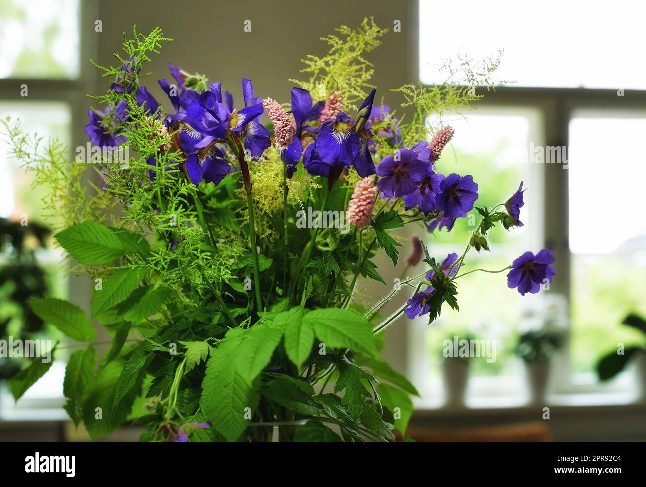 Ein Haufen Wiener Kraniche in einer Vase als Dekoration für eine Hochzeitsfeier oder Zeremonie. Ein wunderschöner Strauß von violetten Blumen als Dekor an einem Veranstaltungsort. Dekorative Pflanzen in einem Gebäude Stockfoto