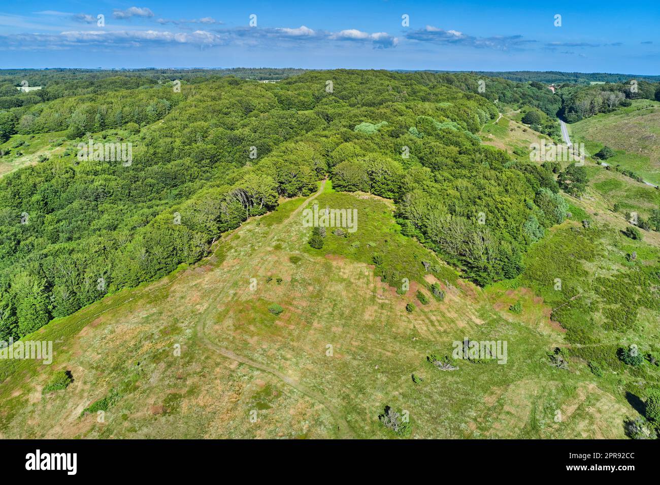 Frühling. Luftaufnahme eines Feldes auf einem Hügel in der Landschaft, umgeben von grünem Wald und Bäumen an einem sonnigen Frühling- oder Sommertag. Naturlandschaft mit blauem Himmel am Horizont. Stockfoto