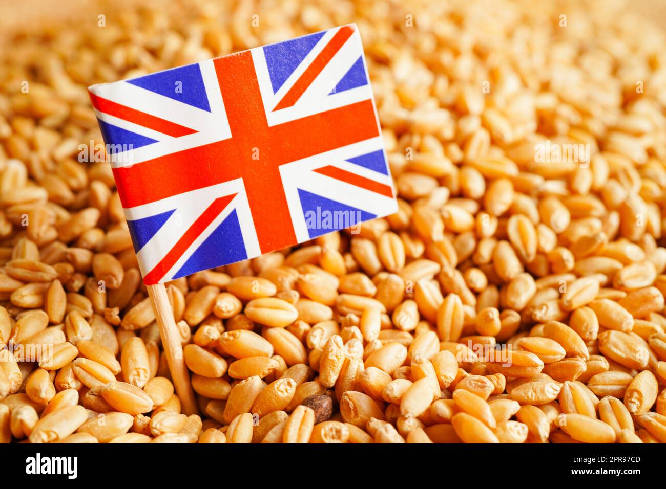 Vereinigtes Königreich über Getreideweizen, Handelsexport und Wirtschaftskonzept. Stockfoto