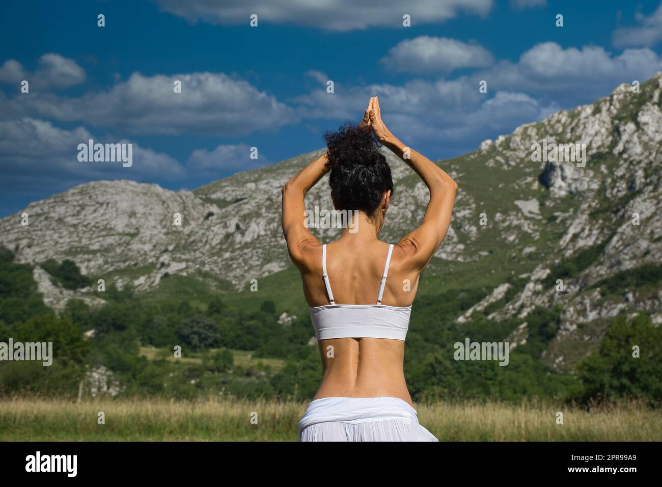 Eine Frau, die Yoga in den Bergen praktiziert. Unscharfer Hintergrund. Weibliches Glück in der Natur. Baum- oder Vrksasana-Haltung Stockfoto