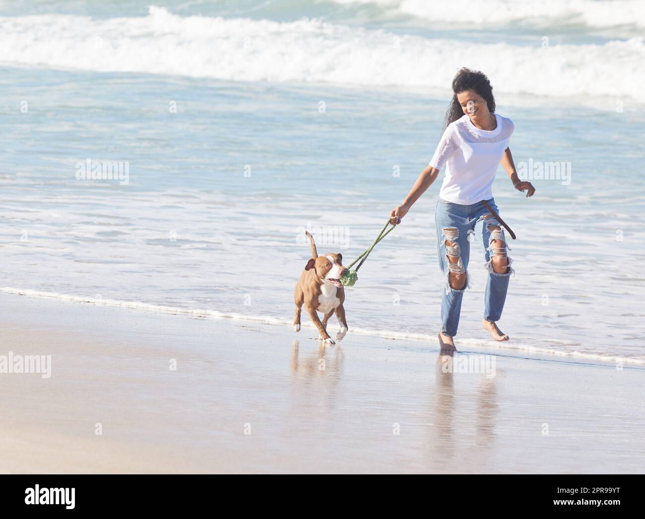 Die besten Dinge im Leben sind pelzigen. Eine Frau spielt mit ihrem Pitbull am Strand. Stockfoto