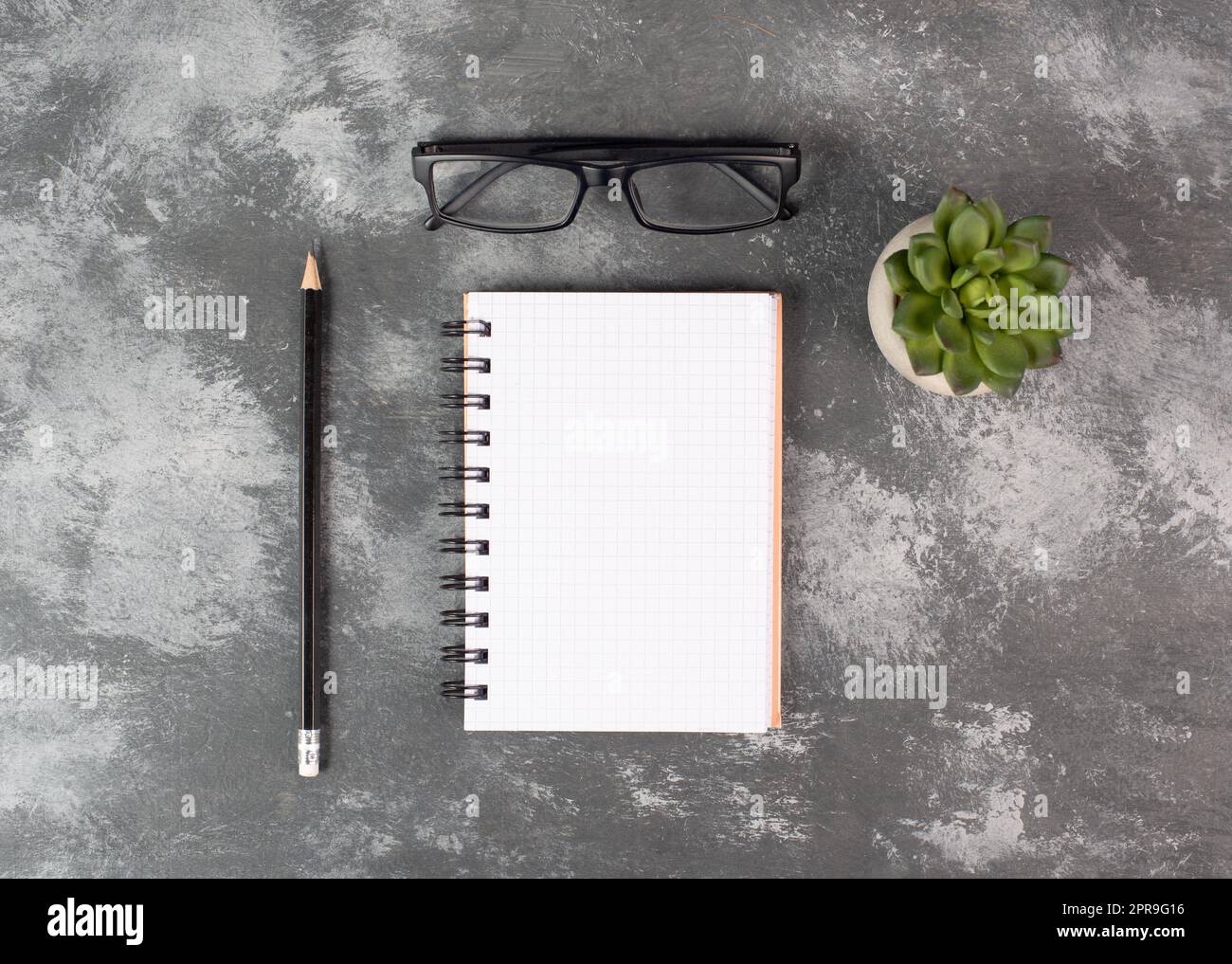 Leeres Notizbuch mit einem Stift, einer Brille und einem Kaktus auf dem Hintergrund, Brainstorming für neue Ideen, Schreiben einer Nachricht, Pausen machen, Büro zu Hause Stockfoto