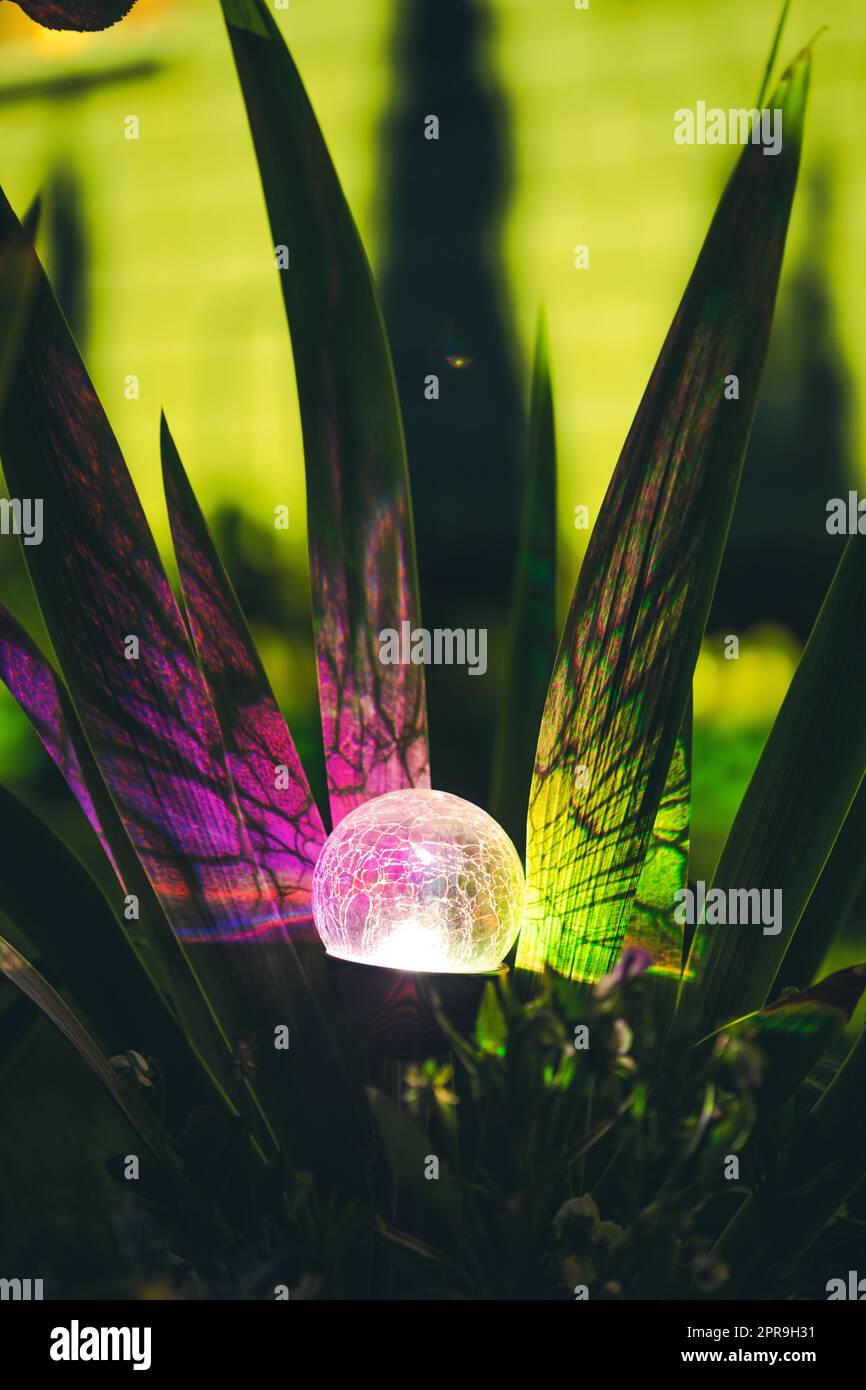 Nachtansicht auf das Blumenbeet, beleuchtet von energiesparender, solarbetriebener, farbenfroher Laterne auf dem Yard. Schöner Kleiner Garten Mit Lila Und Gelben Lichtern, Lampe Im Blumenbett. Gartengestaltung Stockfoto