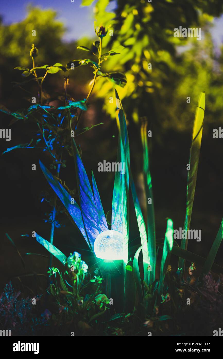 Nachtansicht auf das Blumenbeet, beleuchtet von energiesparender, solarbetriebener, farbenfroher Laterne auf dem Yard. Schöner Kleiner Garten Mit Blauem Und Grünem Licht, Lampe Im Blumenbett. Gartengestaltung Stockfoto