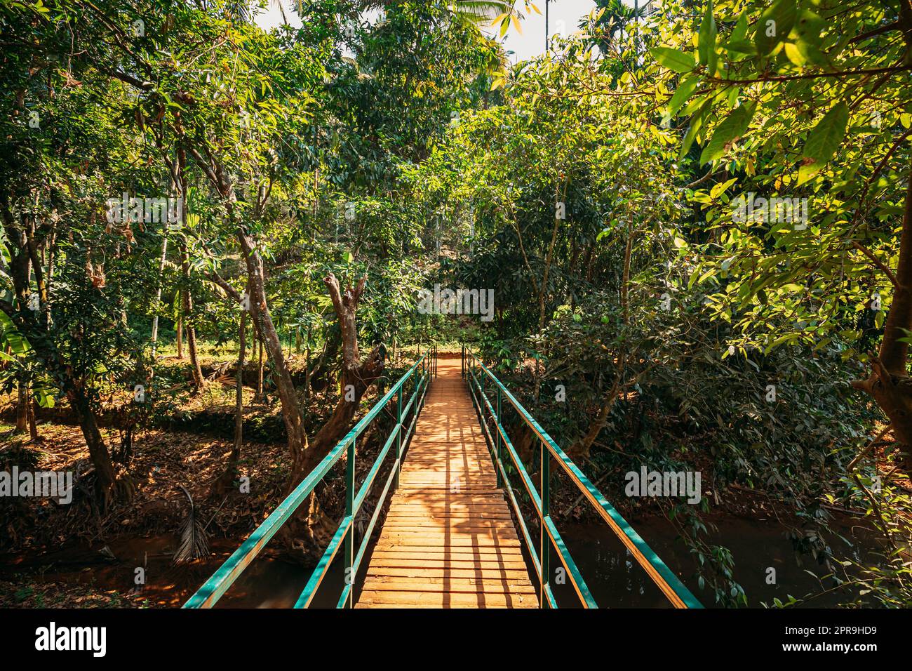 Goa, Indien. Blick Auf Die Kleine Brücke, Umgeben Von Tropischer Grüner Vegetation Am Sonnigen Tag Stockfoto