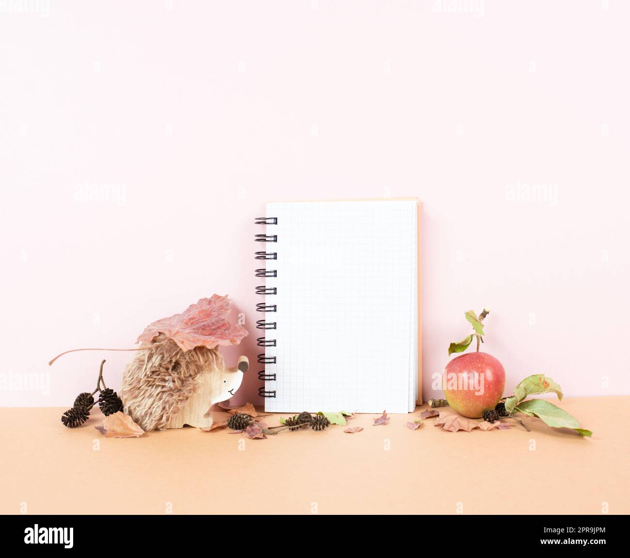 Leeres Notizbuch mit Apfel und Igel, herbstlicher Hintergrund mit bunten Blättern, Schreibtisch, Pastellfarben Stockfoto
