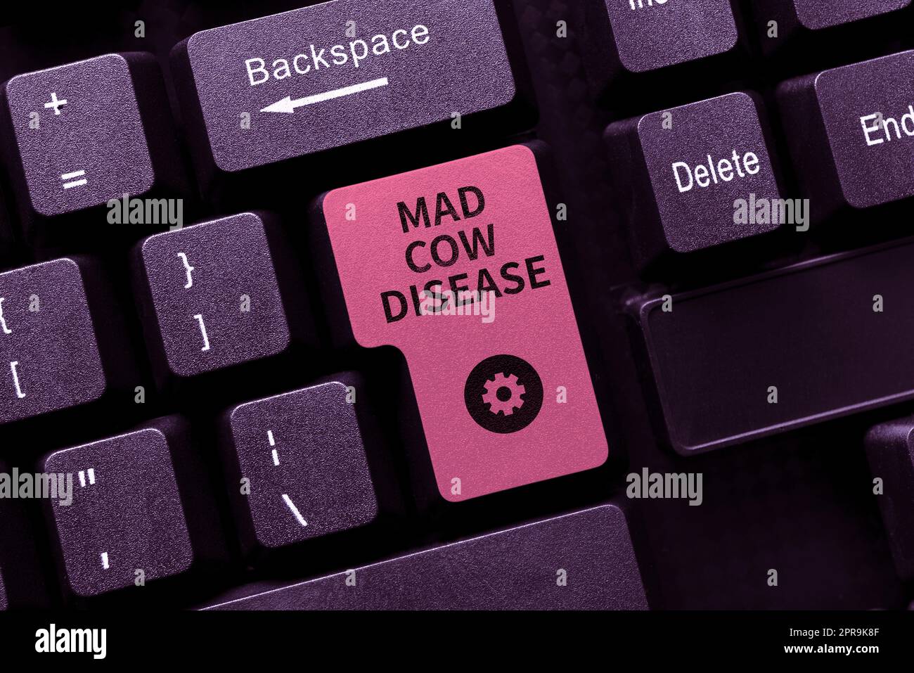 Handschrift Text Mad Cow Disease. Internet-Konzept Neurodegenerative tödliche Krankheit ansteckend Essen Fleisch -49067 Stockfoto