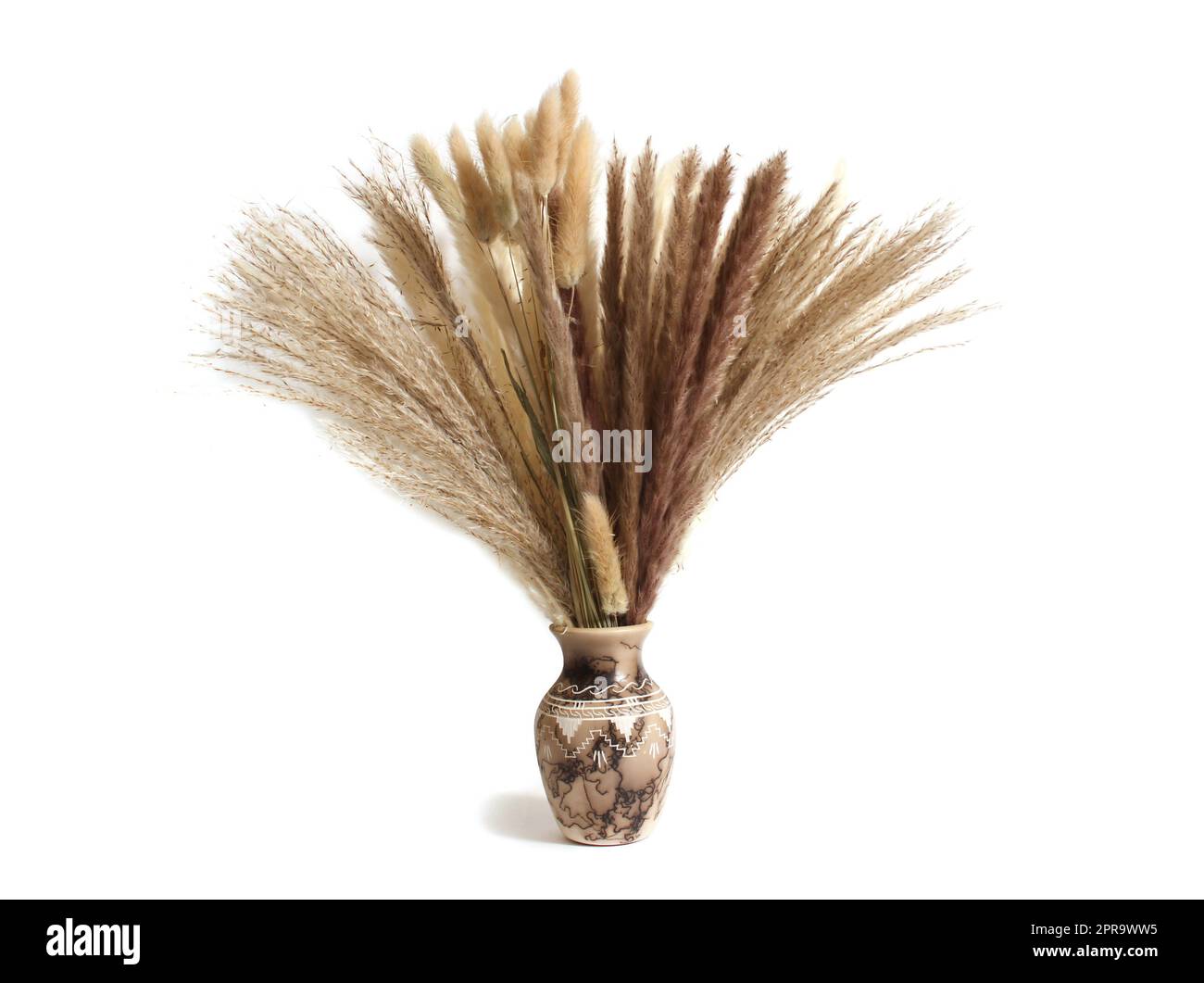 Strauß getrockneter Gräser in Vase der amerikanischen Ureinwohner, isoliert auf weißem Hintergrund Stockfoto