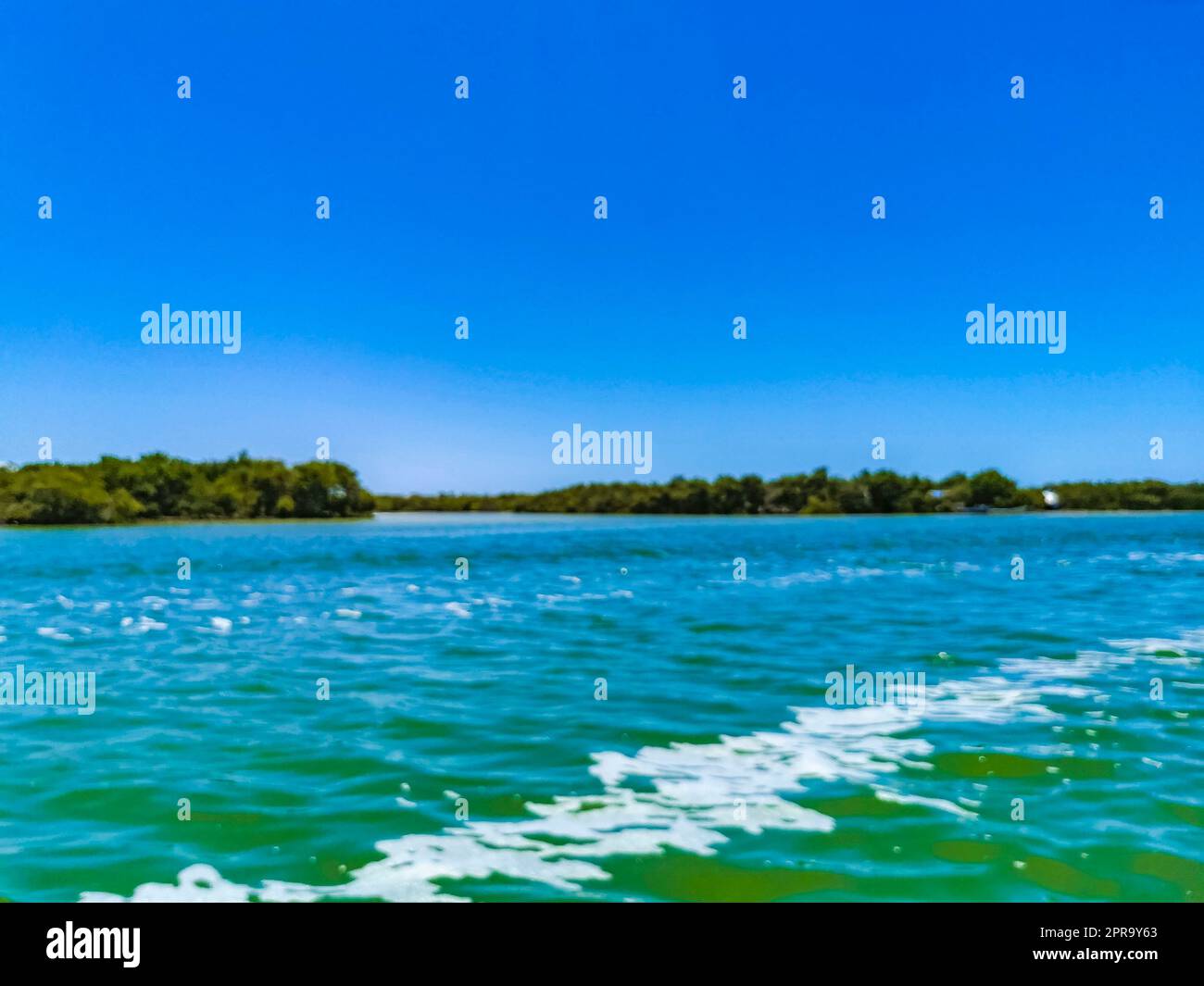 Panoramablick auf Holbox Island Naturstrand türkisfarbenes Wasser Mexiko. Stockfoto