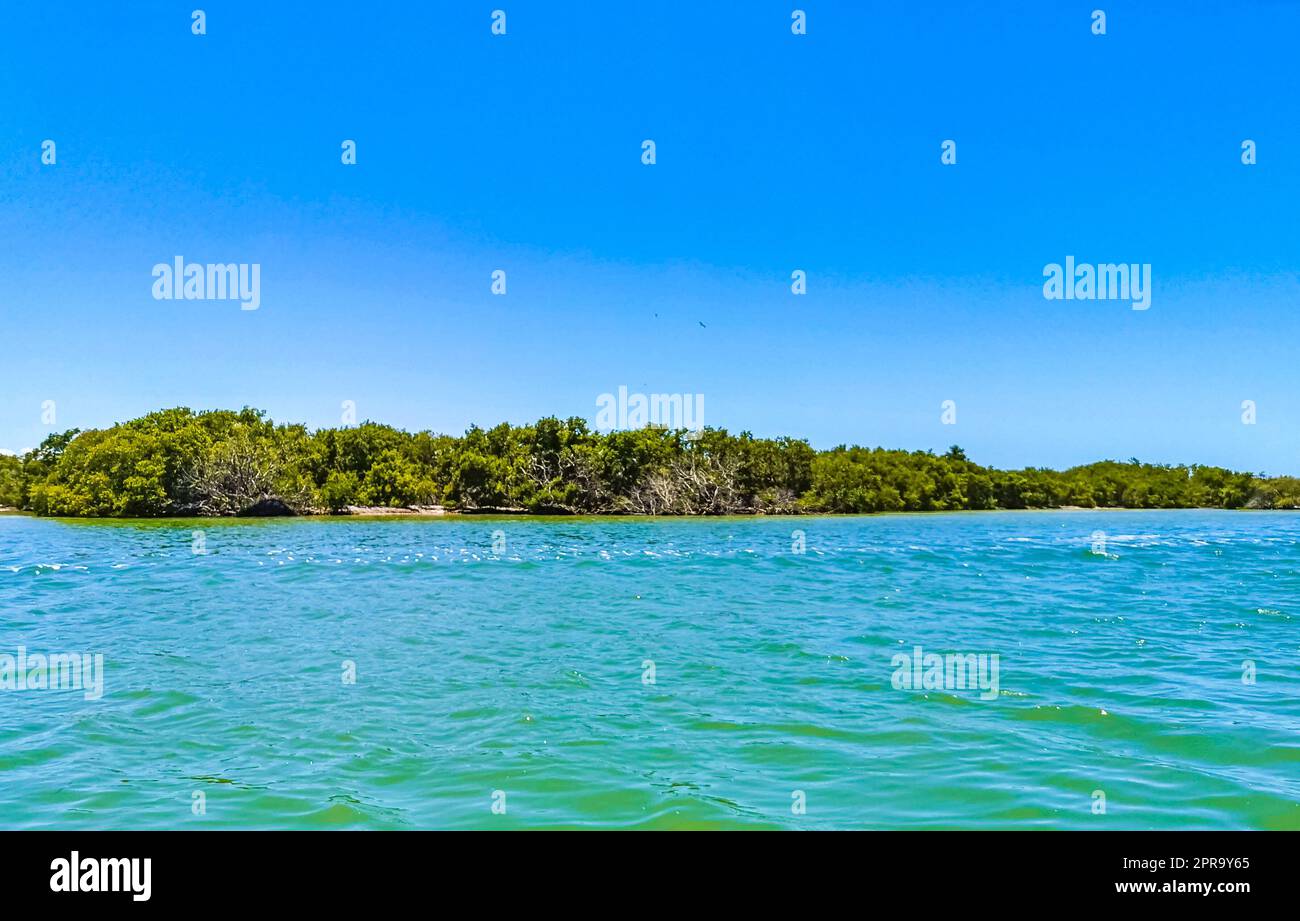 Panoramablick auf Holbox Island Naturstrand türkisfarbenes Wasser Mexiko. Stockfoto