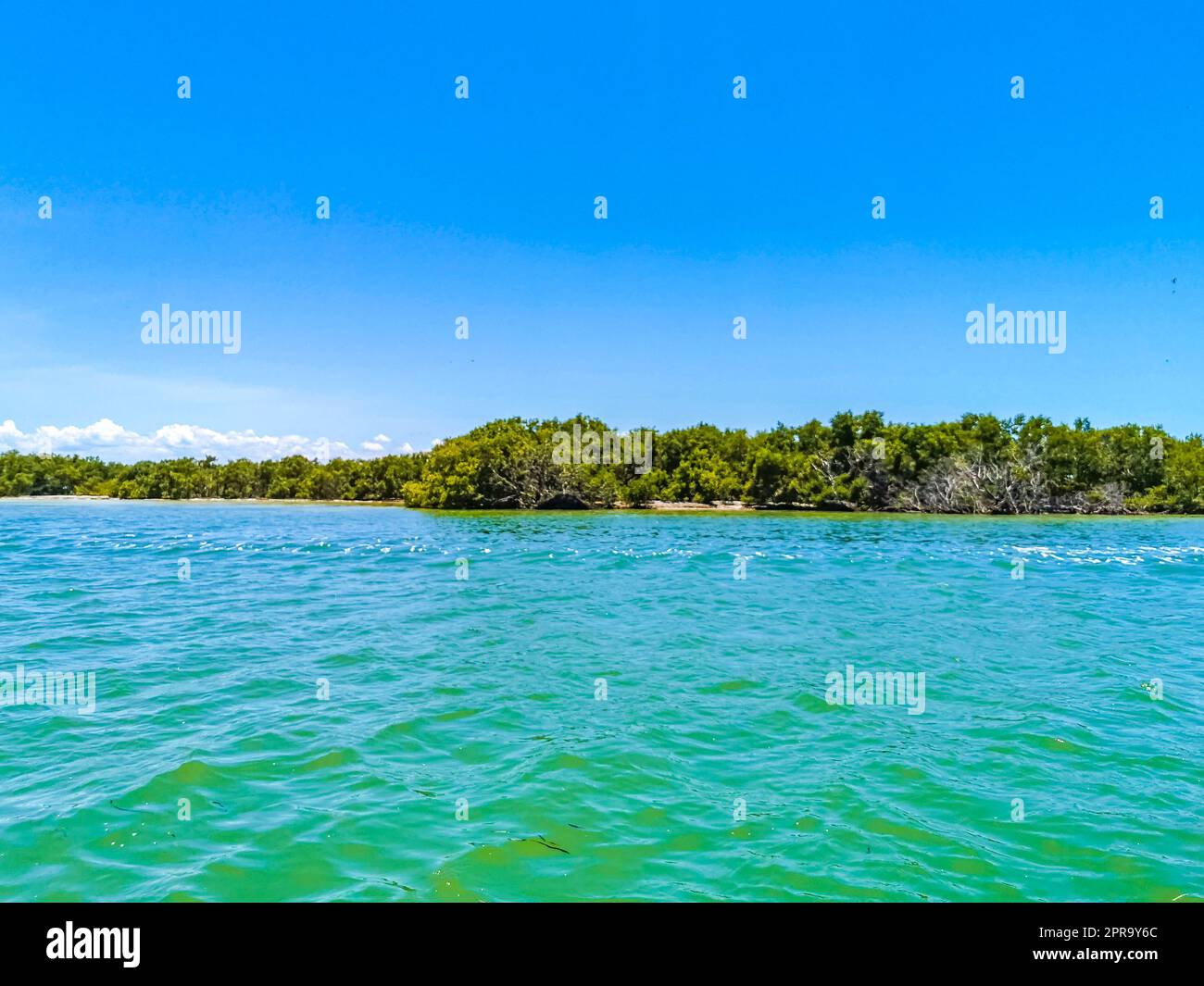 Panoramablick auf Holbox Island Naturstrand türkisfarbenes Wasser Mexiko. Stockfoto