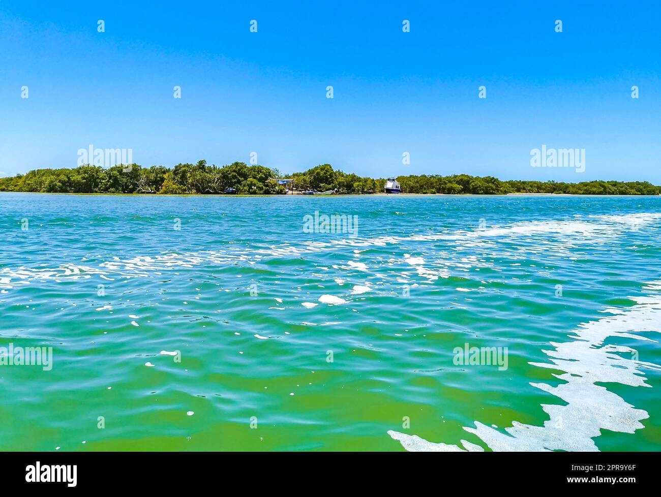 Panoramablick auf Holbox Island Naturstrand türkisfarbenes Wasser Mexiko. Stockfoto