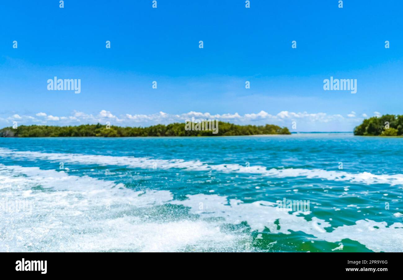 Panoramablick auf Holbox Island Naturstrand türkisfarbenes Wasser Mexiko. Stockfoto