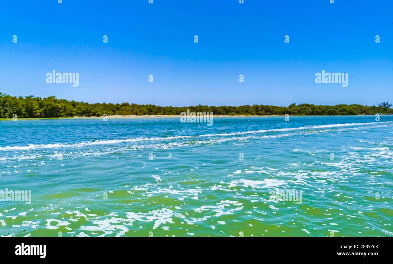 Panoramablick auf Holbox Island Naturstrand türkisfarbenes Wasser Mexiko. Stockfoto