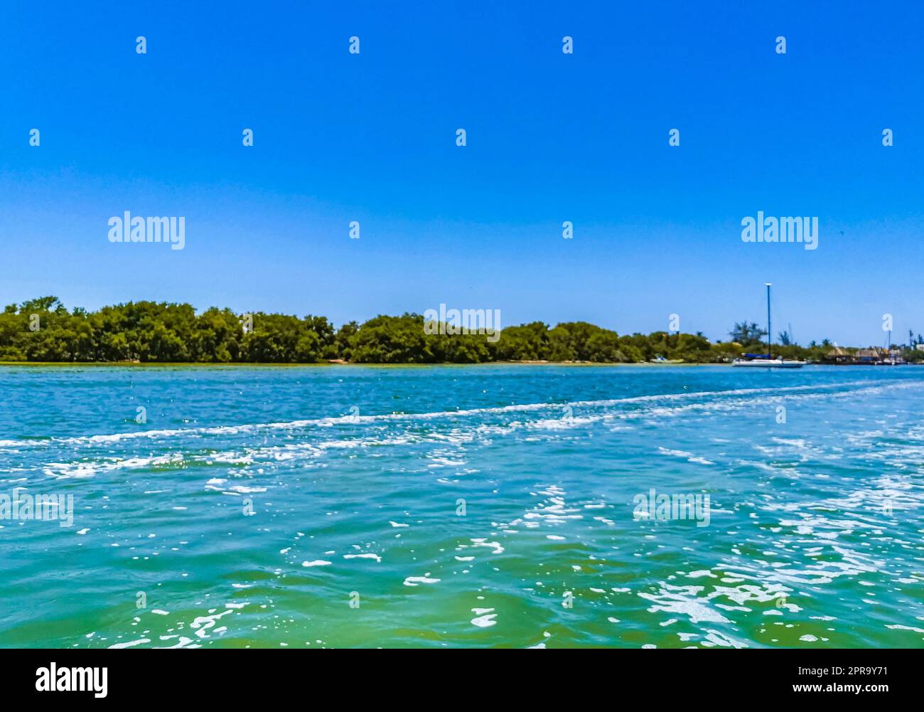 Panoramablick auf Holbox Island Naturstrand türkisfarbenes Wasser Mexiko. Stockfoto