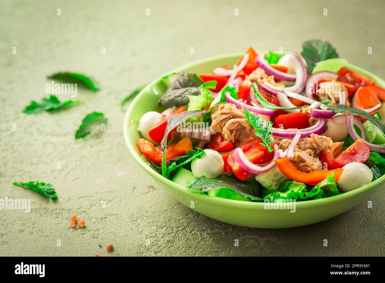 Thunfischsalat mit Mozzarella, Zwiebeln und japanischem Senf Stockfoto