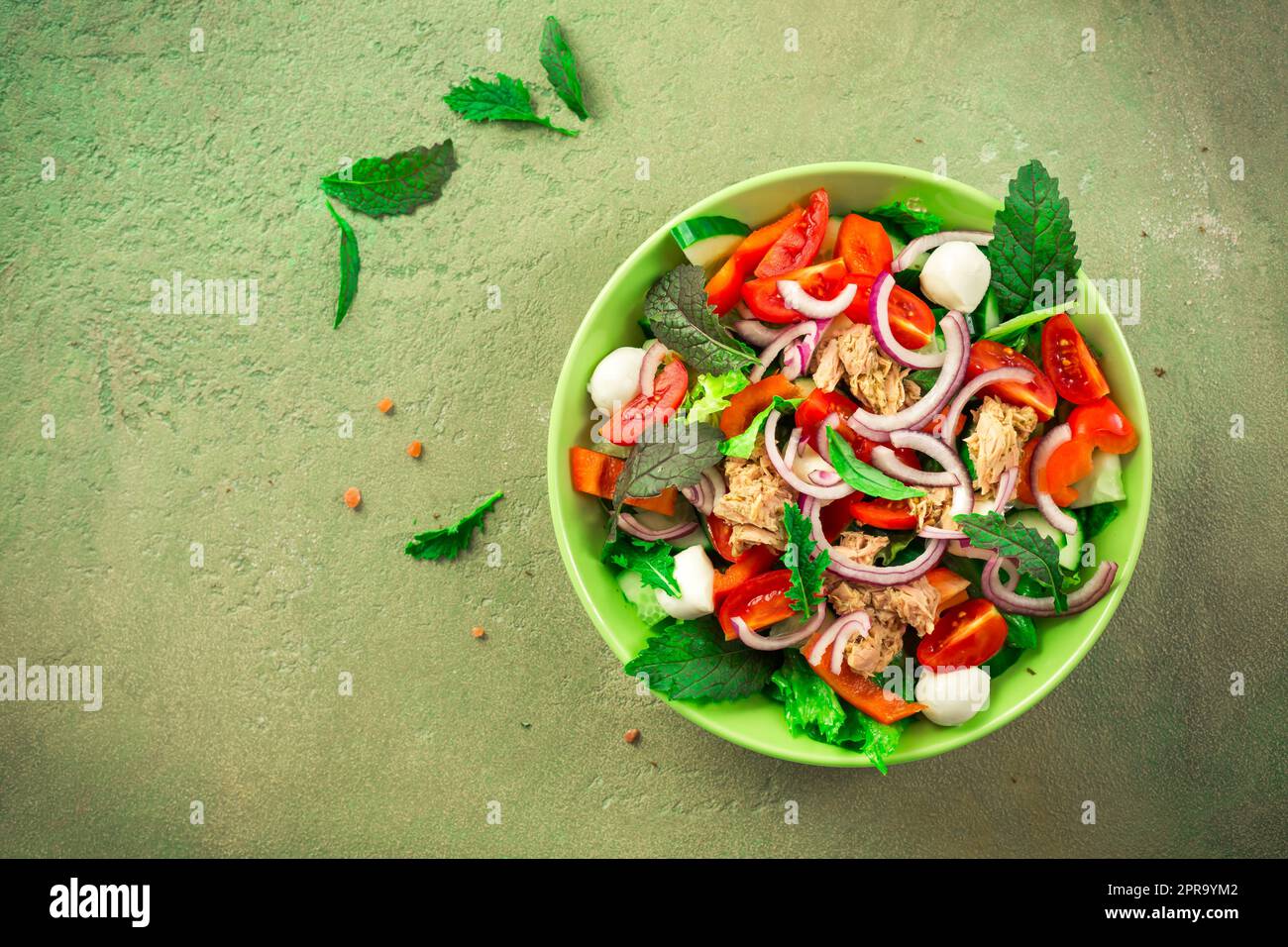 Thunfischsalat mit Mozzarella, Zwiebeln und japanischem Senf Stockfoto