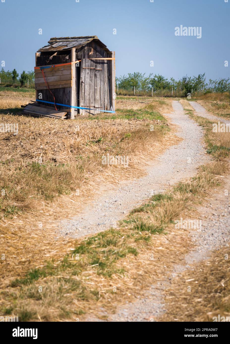 Holz zerstörte Hütte, die sich auf der Wiese anlehnte Stockfoto