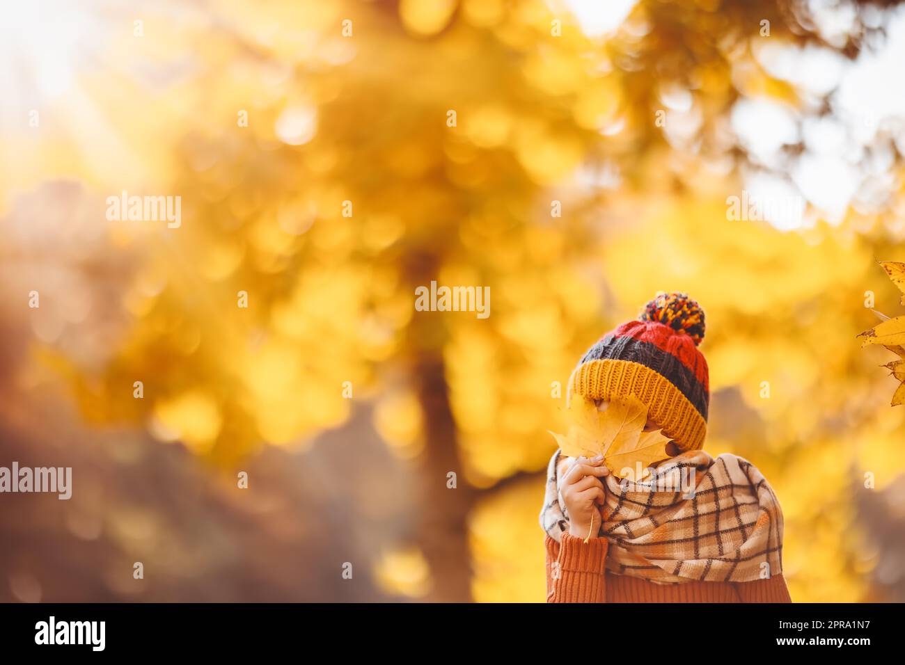 Glückliches Kind versteckt seine Augen hinter den Ahornblättern. Stockfoto