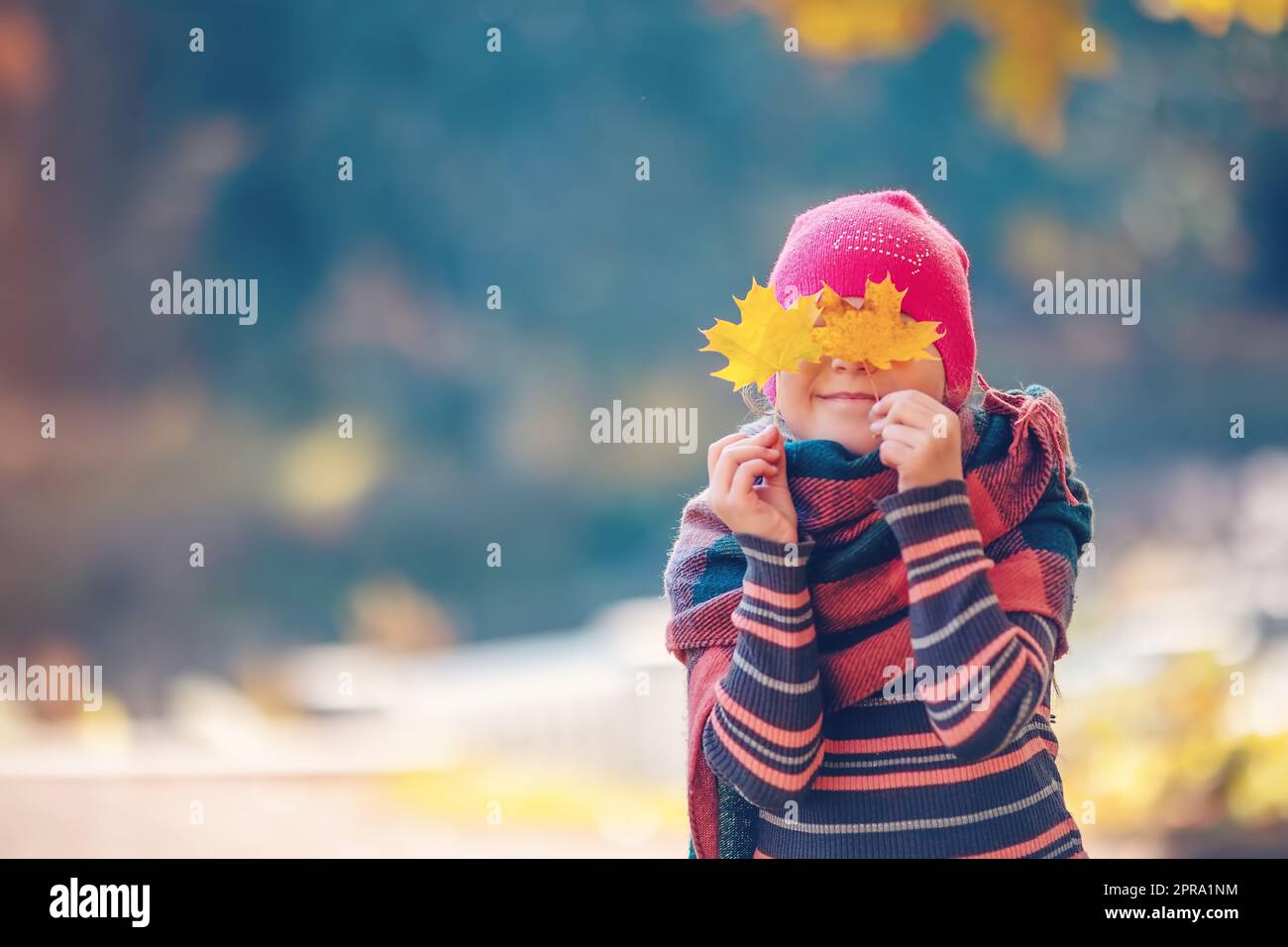 Glückliches Kind versteckt seine Augen hinter den Ahornblättern. Stockfoto