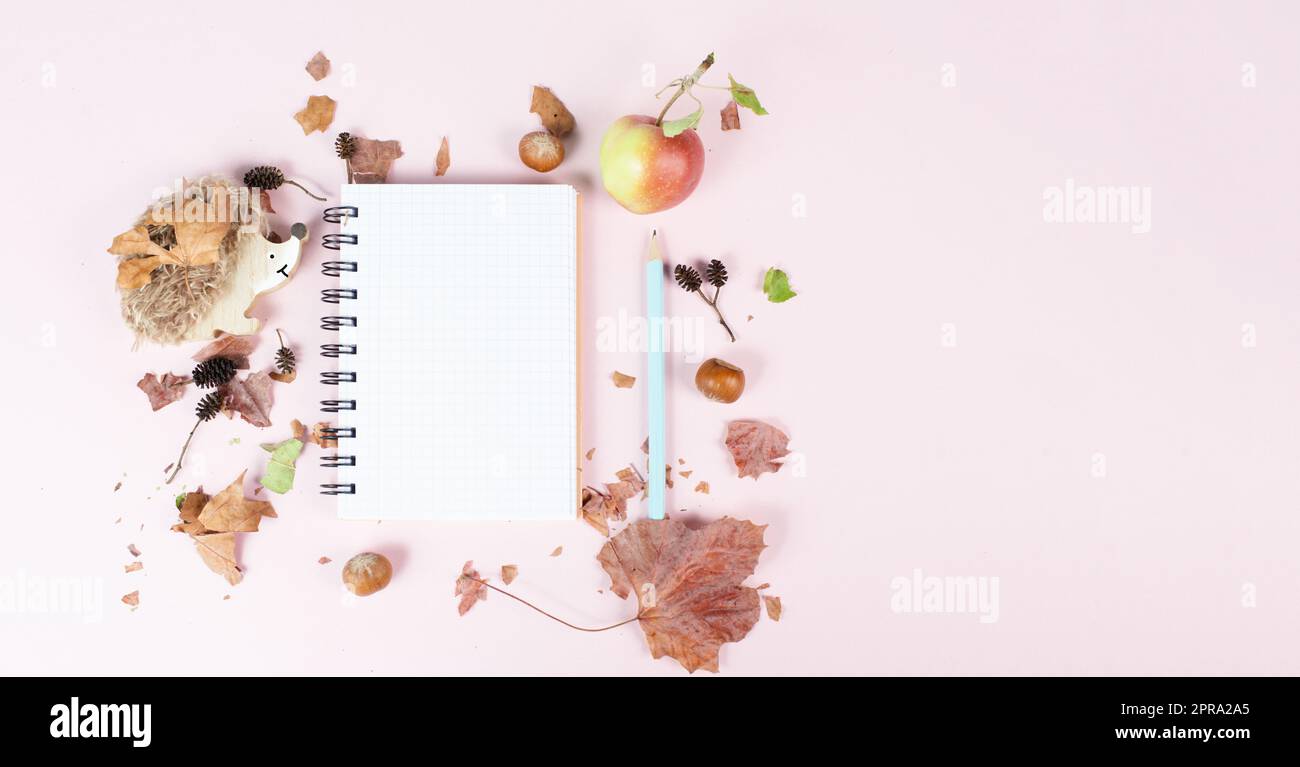Leeres Notizbuch mit Apfel und Igel, herbstlicher Hintergrund mit bunten Blättern, Schreibtisch, Pastellfarben Stockfoto