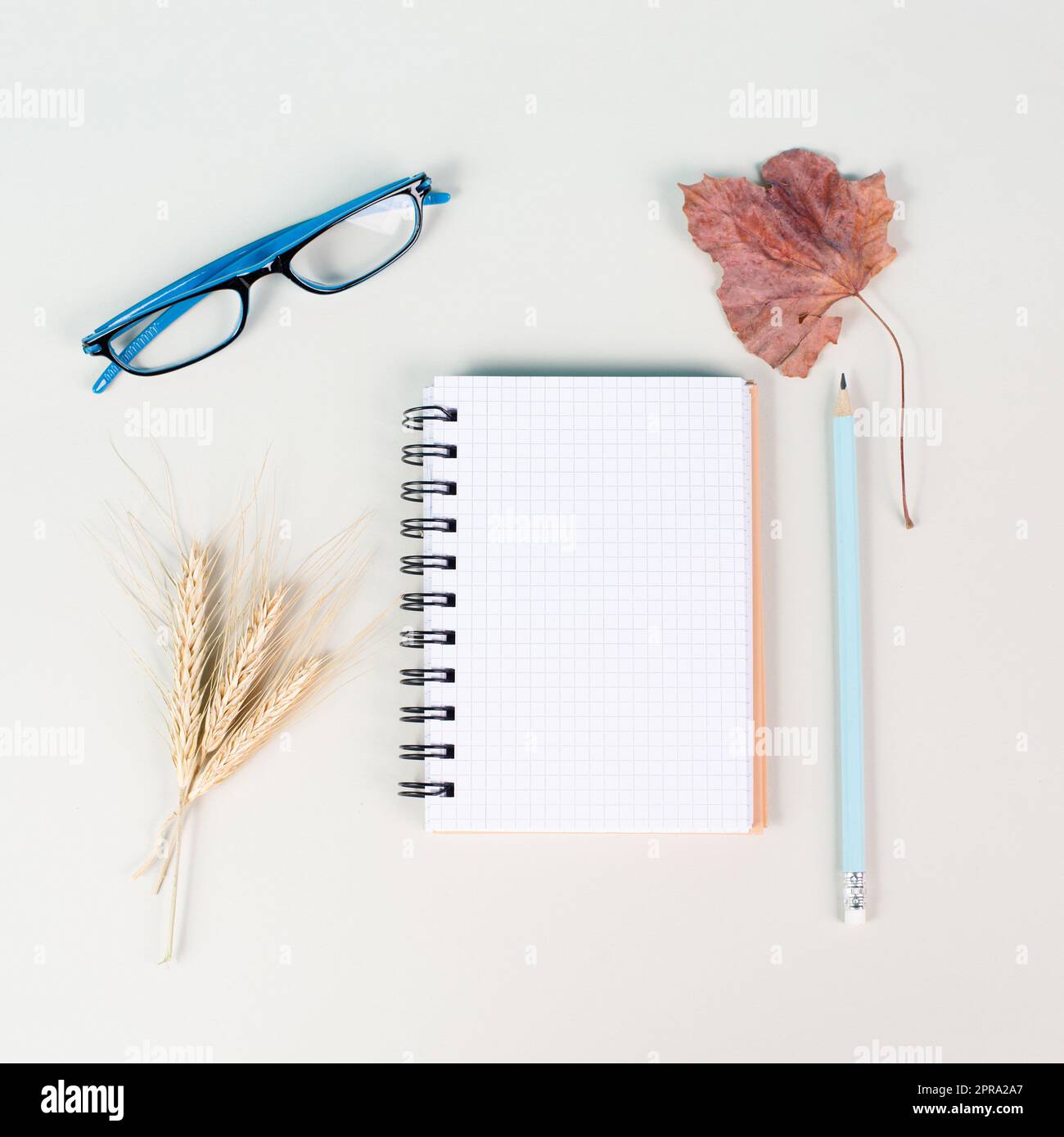 Leeres Notizbuch mit Brillen, eine Feder- und Weizenherbstvorlage mit bunten Blättern, Schreibtisch Stockfoto