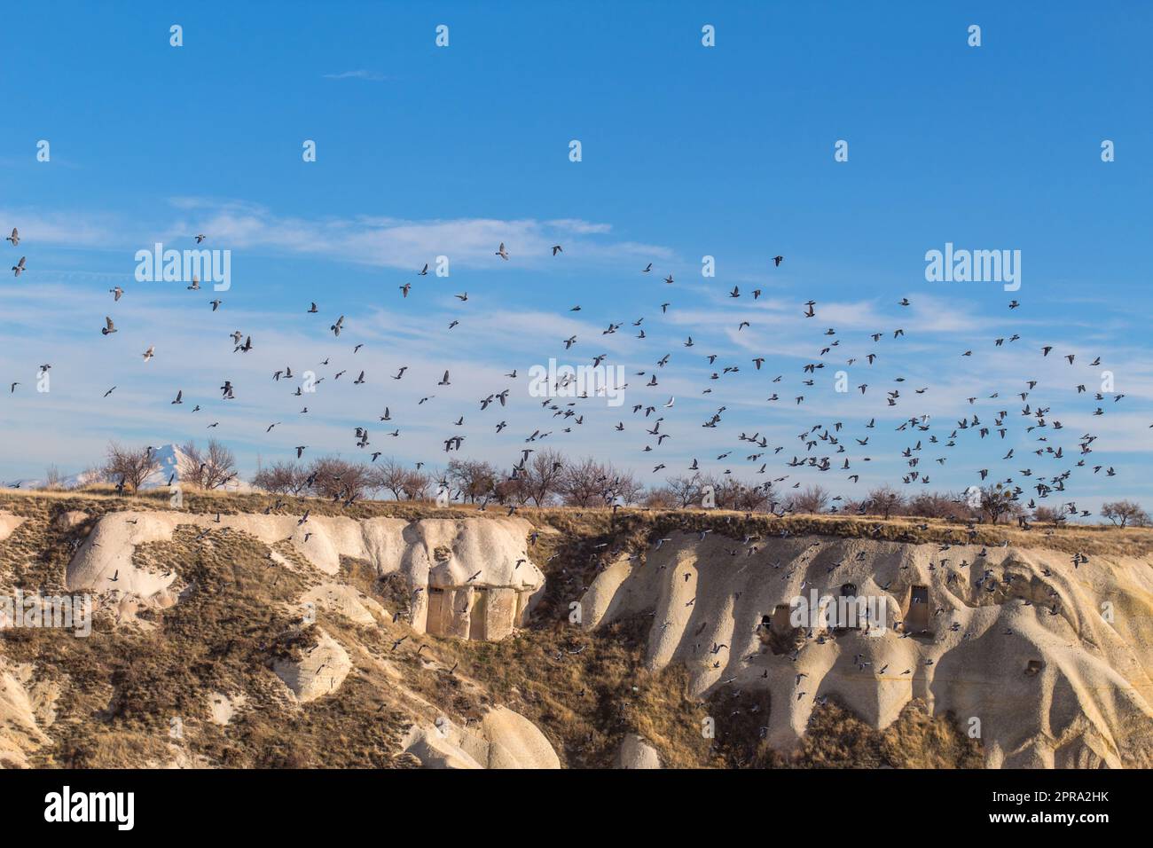 Fliegende Tauben in capadoccia Stockfoto