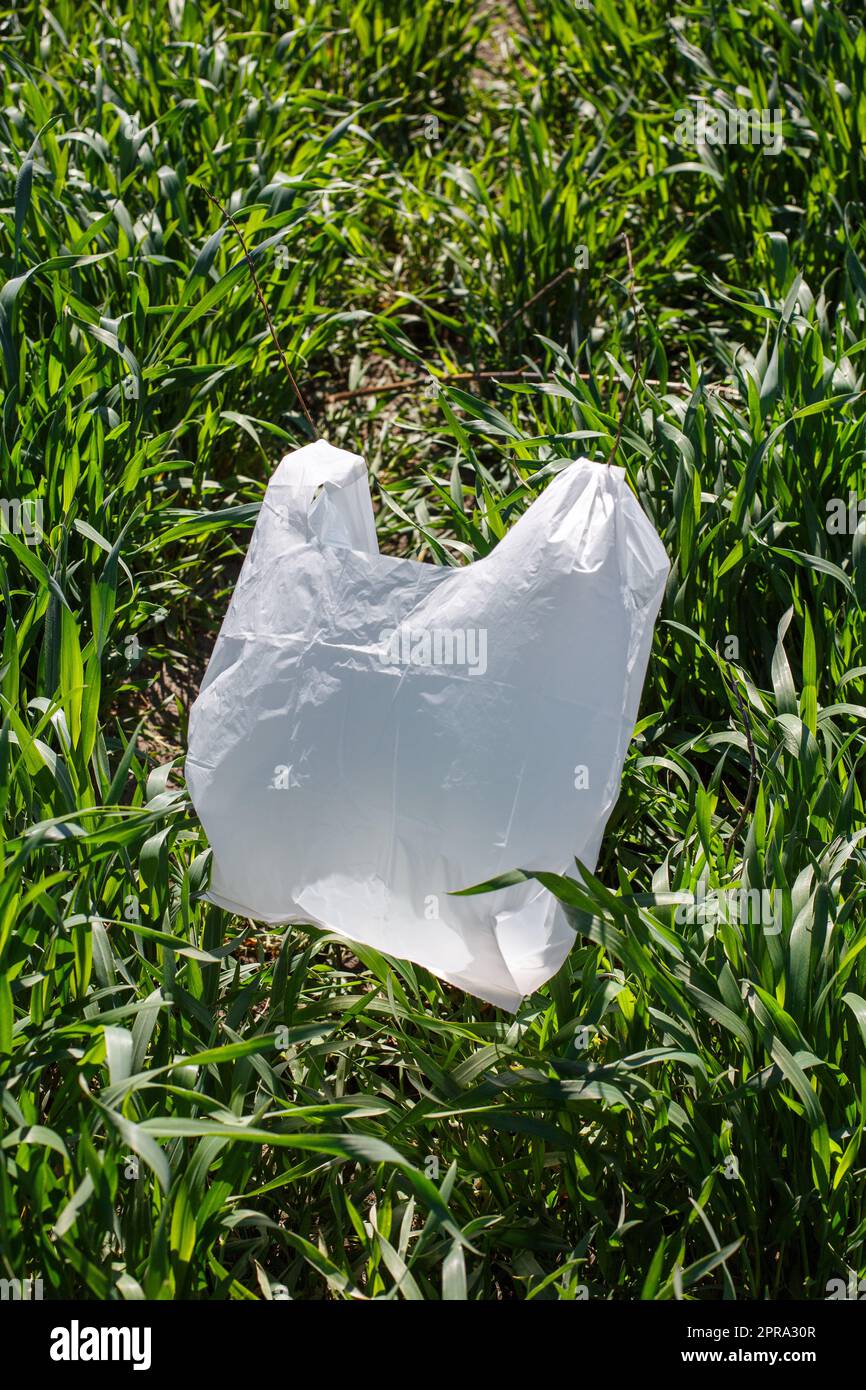 Nahaufnahme auf grünem Gras liegt weißer biologisch abbaubarer Beutel, der eine Alternative zu herkömmlichen Plastikbeuteln ist. Stockfoto