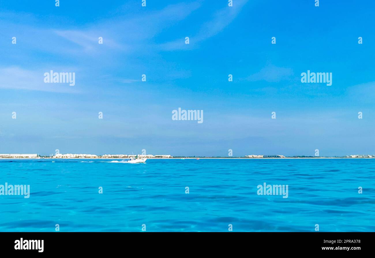 Bootsfahrt Cancun Mexiko zur Insel Mujeres Contoy Whale Shark. Stockfoto