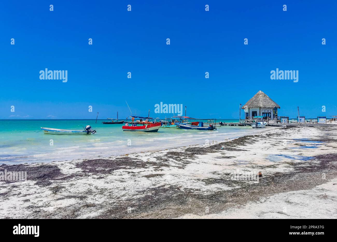 Wunderschöne Holbox Insel Strand Sandbank Panorama türkisfarbene Wassermenschen Mexiko. Stockfoto
