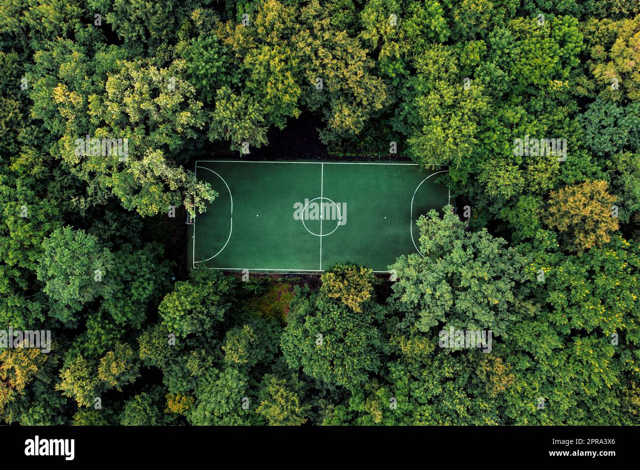 Fußballfeld im sommerlichen Laubwald, aus der Luft Stockfoto