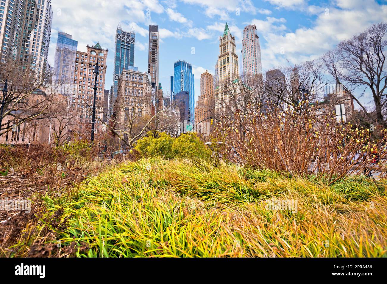 Blick auf die Innenstadt von New York City und den grünen Park Stockfoto