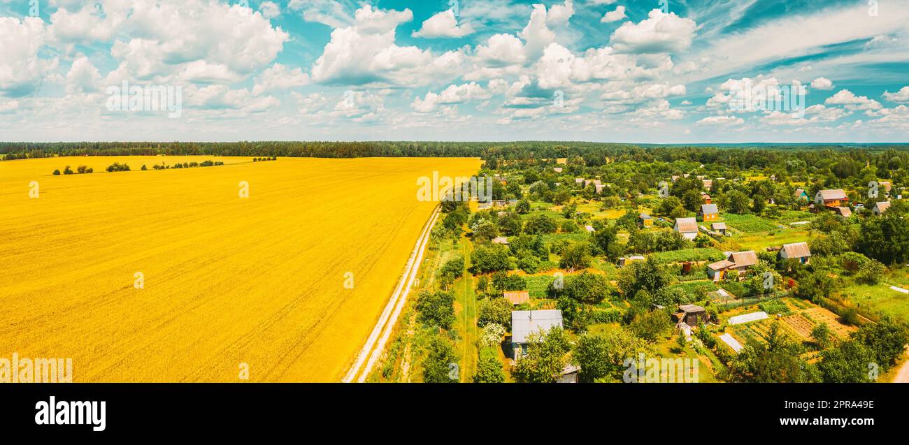 Landschaft Ländliche Landschaft Mit Kleinen Dorf, Gärten Und Yellow Wheat Feld Im Frühling Sommertag. Erhöhte Ansicht. Panorama Stockfoto