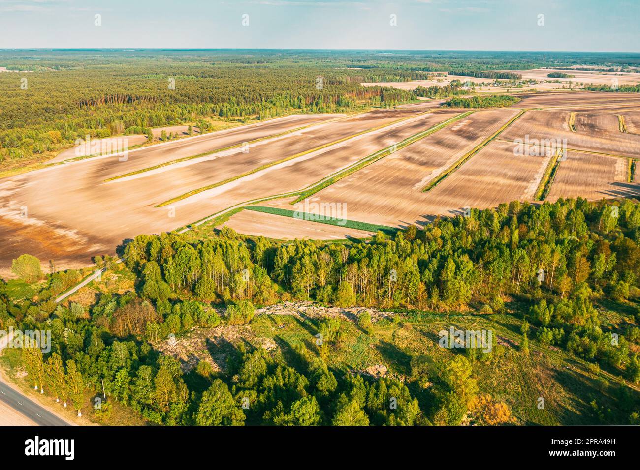 Luftaufnahme, Leeres Feld Mit Windschutz, Landschaft. Draufsicht Auf Field Und Forest Belt. Drohnenansicht Vogelperspektive. Ein Windschutz oder Schutzgürtel ist eine Pflanzung, die normalerweise den Boden vor Erosion schützt. Stockfoto
