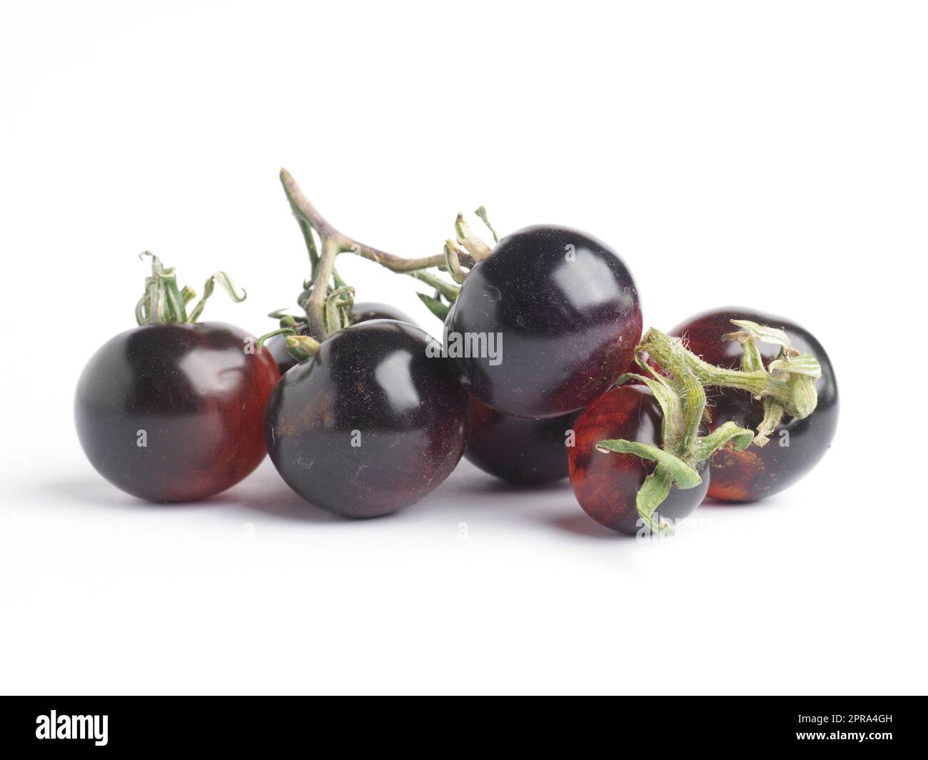 Biologische schwarze Tomaten auf weißem Studiohintergrund Stockfoto