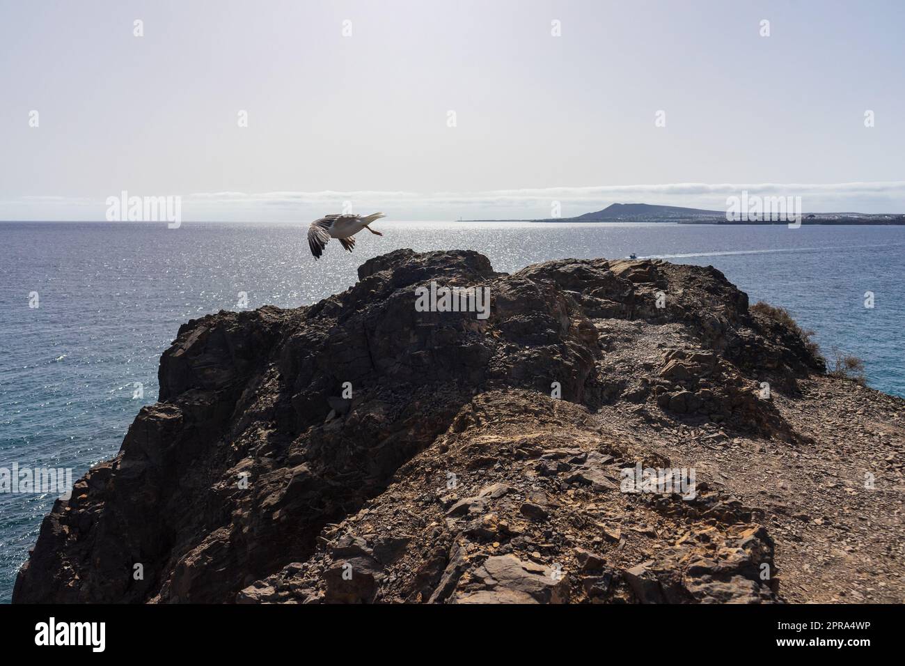 Felsen, Möwen und Entfernung zum Meer. Sommerlandschaft. Stockfoto