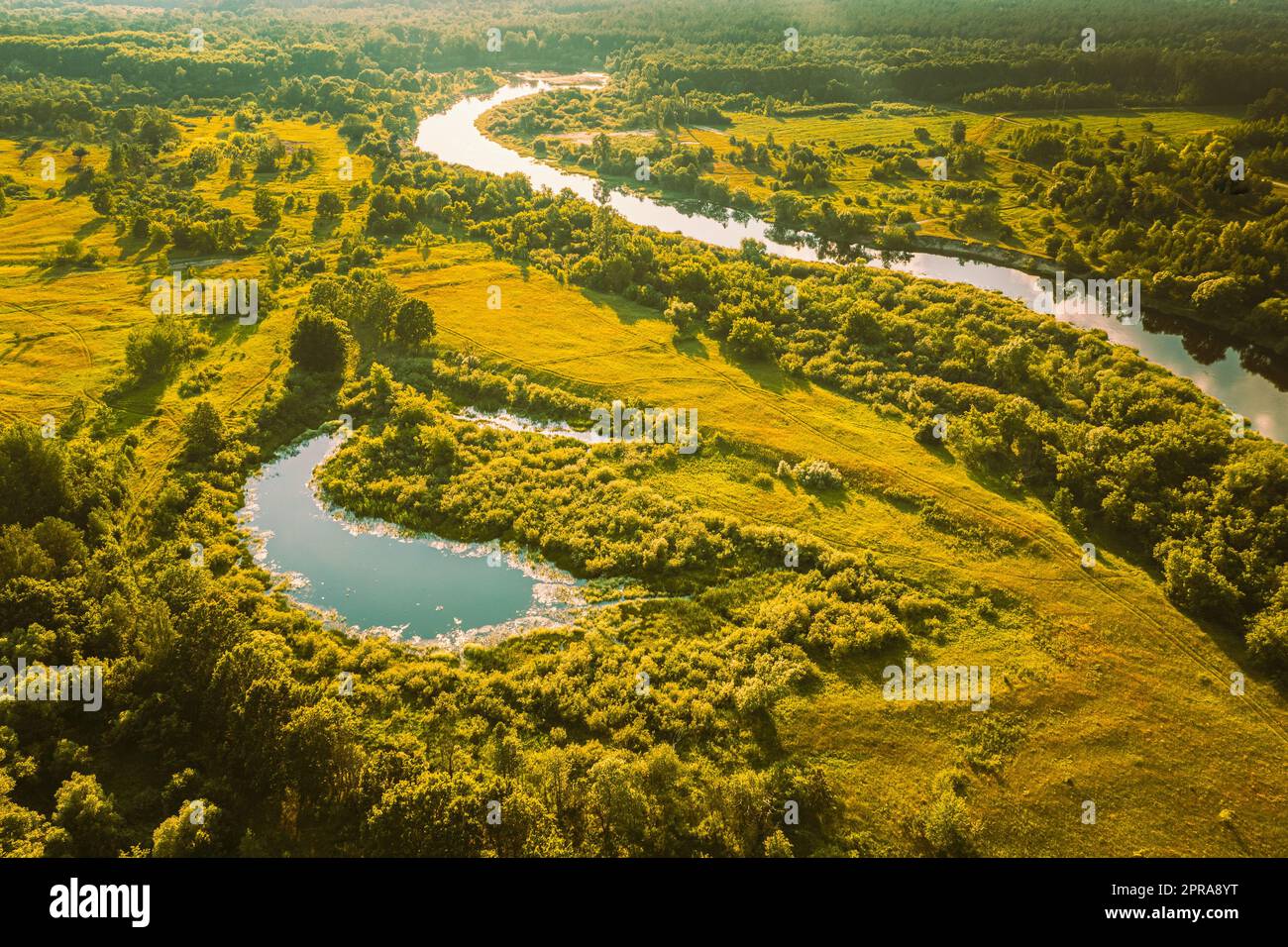 Weißrussland. Erhöhte Aussicht Auf Das Sumpfgebiet, Den Fluss Und Den Grünen Wald Des Kleinen Sumpfgebiets Am Sonnigen Sommertag. Attitude View Wald in Bird's Eye View Stockfoto