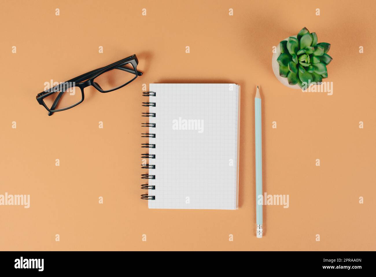Leeres Notizbuch mit einem Stift, einer Brille und einem Kaktus auf orangefarbenem braunem Hintergrund, Brainstorming für neue Ideen, Schreiben einer Nachricht, Pausen, Schreibtisch im Home Office Stockfoto
