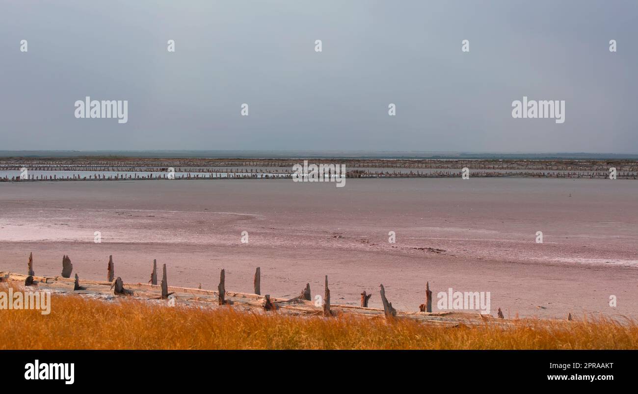 Holzsäulen bedeckten große Salzklumpen im rosa See. Krim, Saki Stockfoto
