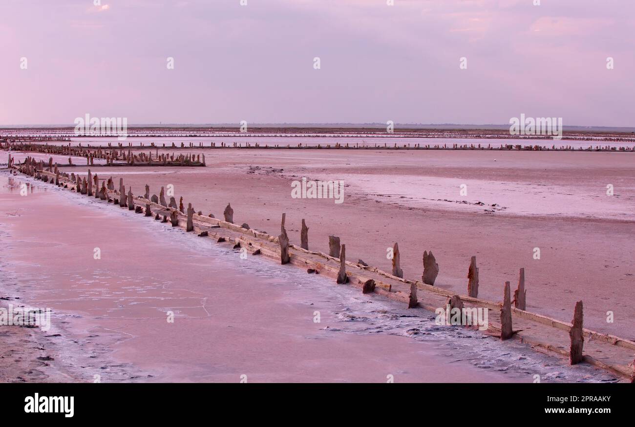 Holzsäulen bedeckten große Salzklumpen im rosa See. Krim, Saki Stockfoto