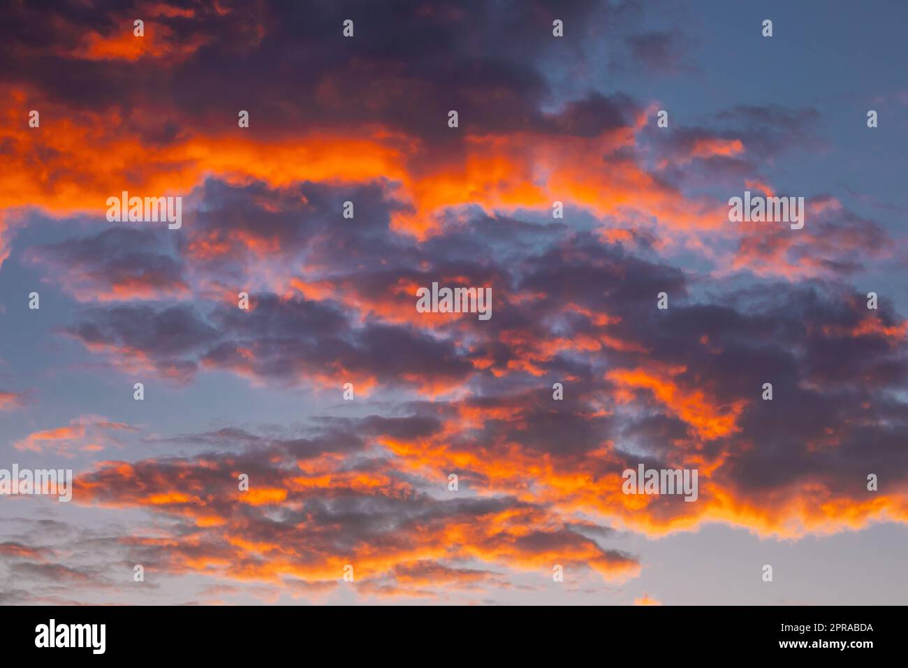 Sonnenaufgang Heller Dramatischer Himmel. Scenic Colourful Sky At Dawn. Sonnenuntergang Himmel Natürliche Abstrakte Hintergrund In Blau Rosa Rot Orange Farben Stockfoto